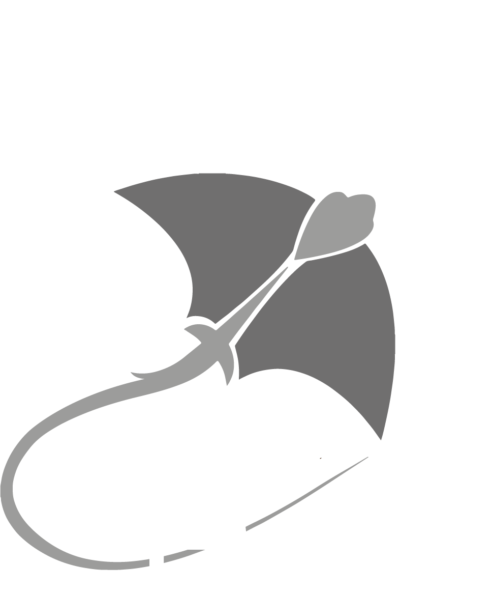 Grupo Stingray L&R, S.A. de C.V.
